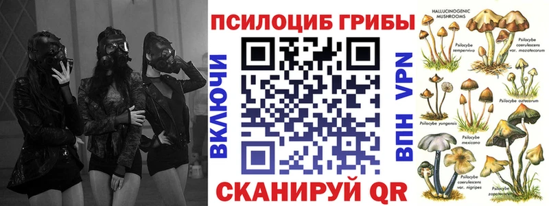 Галлюциногенные грибы Psilocybe  Макушино 